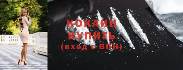 a pvp Бородино
