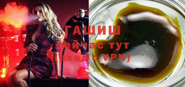 a pvp Бородино