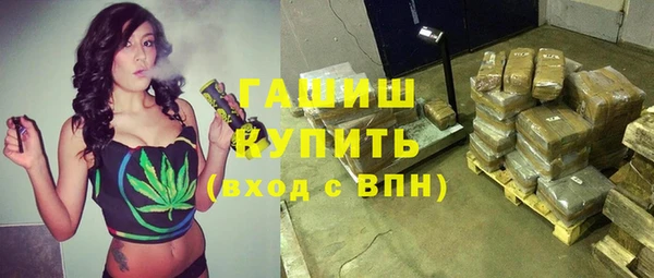 a pvp Бородино