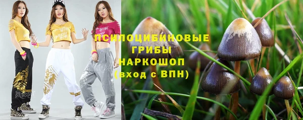 бошки Бронницы