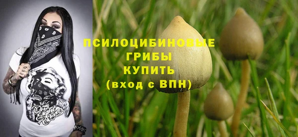 бошки Бронницы