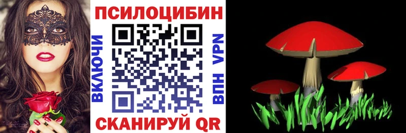 где найти наркотики  Грозный  Галлюциногенные грибы Magic Shrooms 